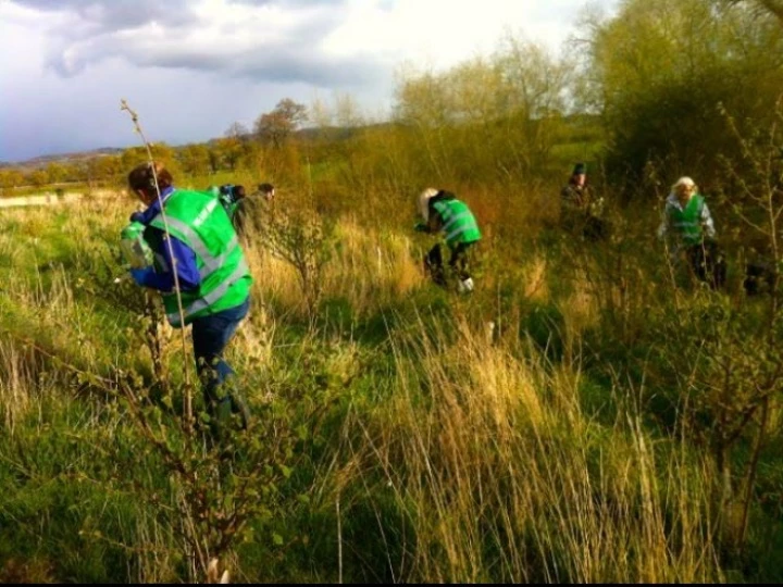 1242821d7c5e46a2bdc49589888d9766