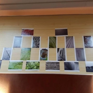 13770452101538469327151972678492505506793032n