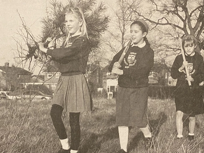 1995 tre planting at tps