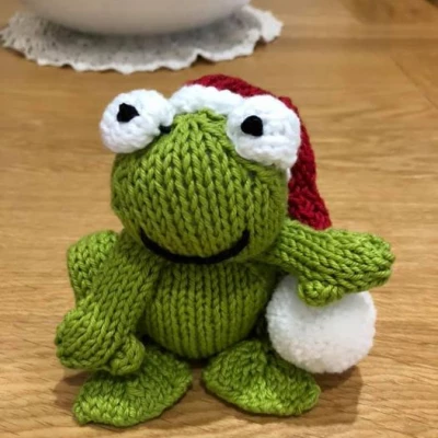 20201022 louises frog