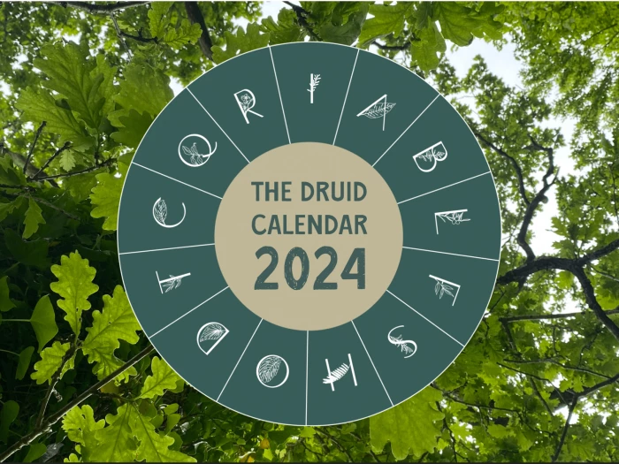 2024 calendar front cover