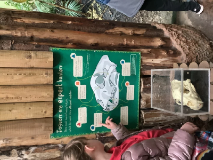 49f31608f8b4408f95bc75fb35e454d9