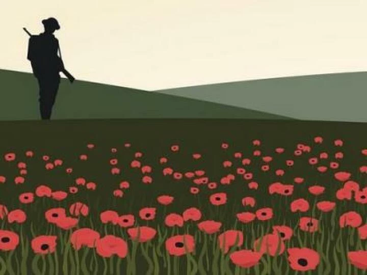 7243124497764402gettygraphicsoldierandfieldofpoppies