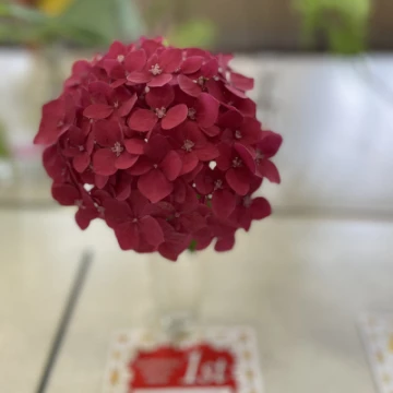 9c066bdd660542cbb0021f7036f5e09e