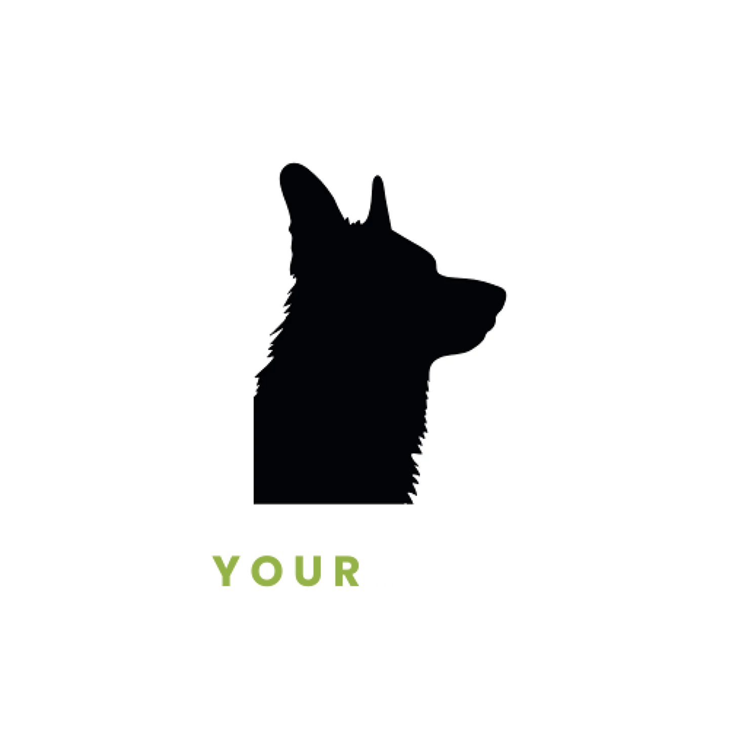 Train Your Dog