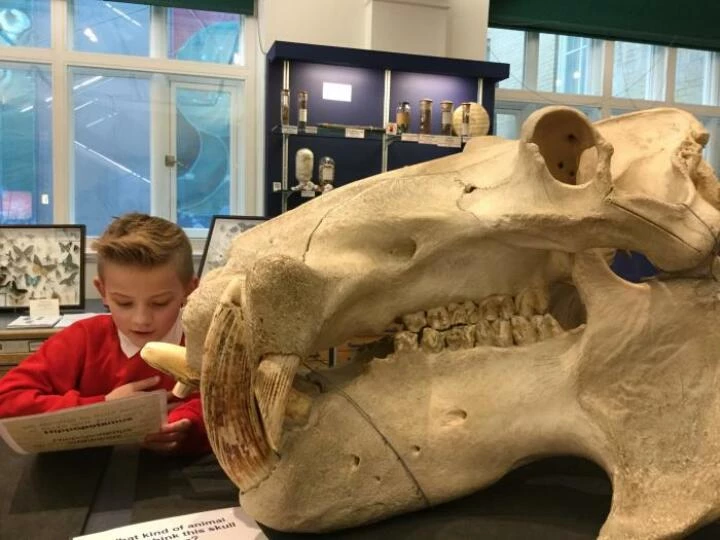 a6026b675728454390df932a0a7a88f7