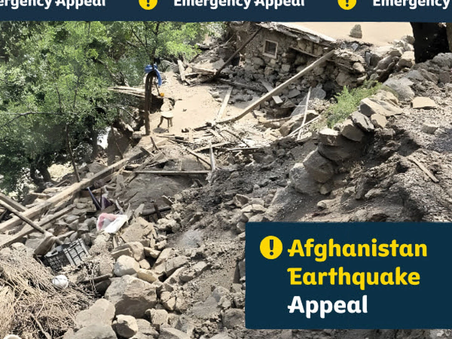 afghanistan appeal