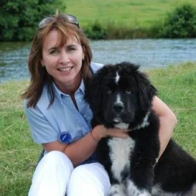alison sharp