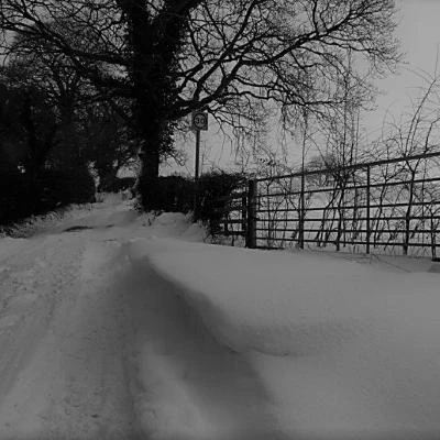 andertons lane4 003