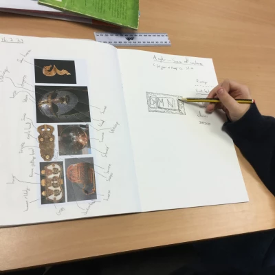 anglo saxon art 2