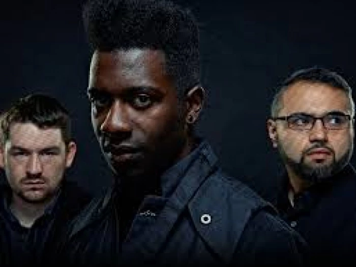 animals as leaders