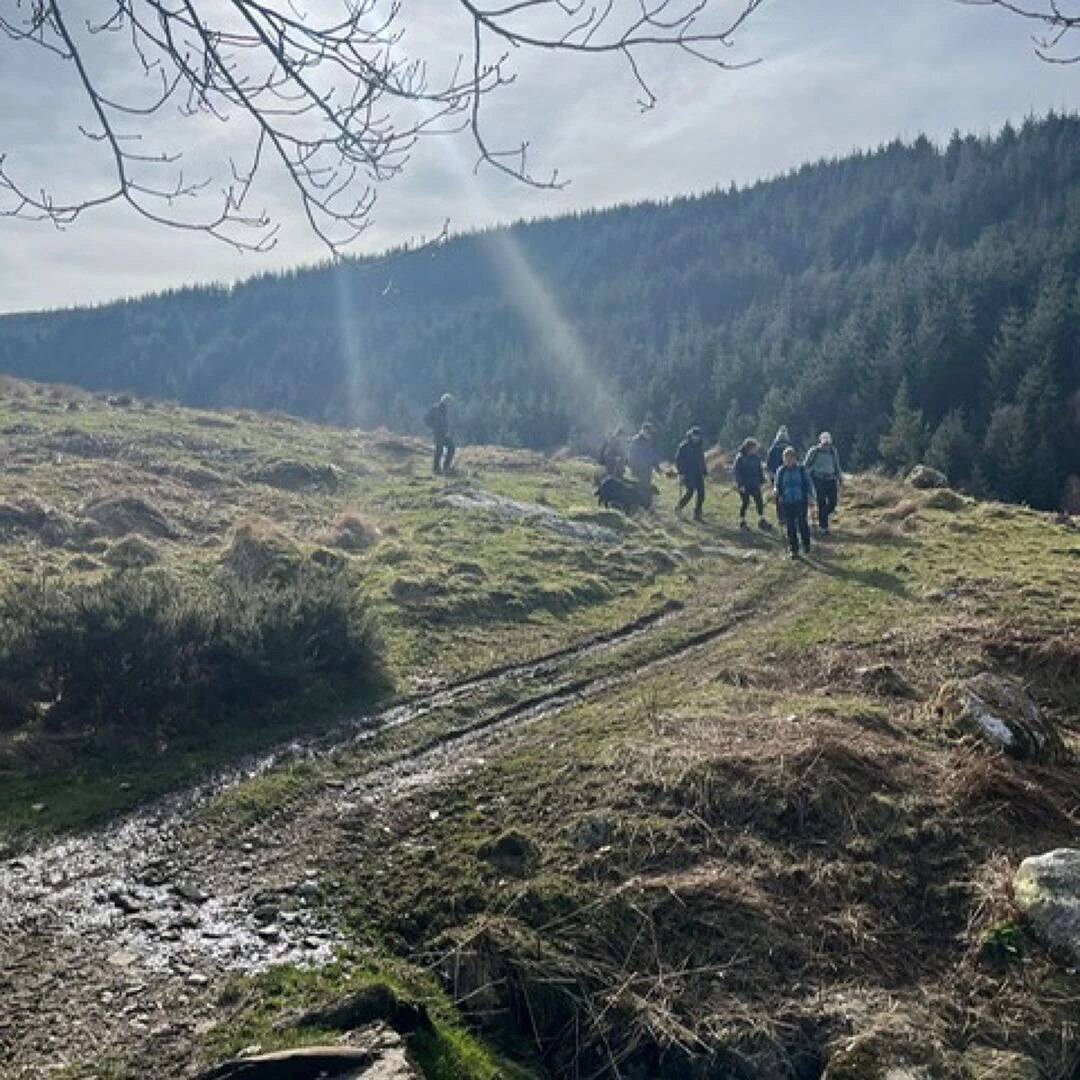ars walk 5