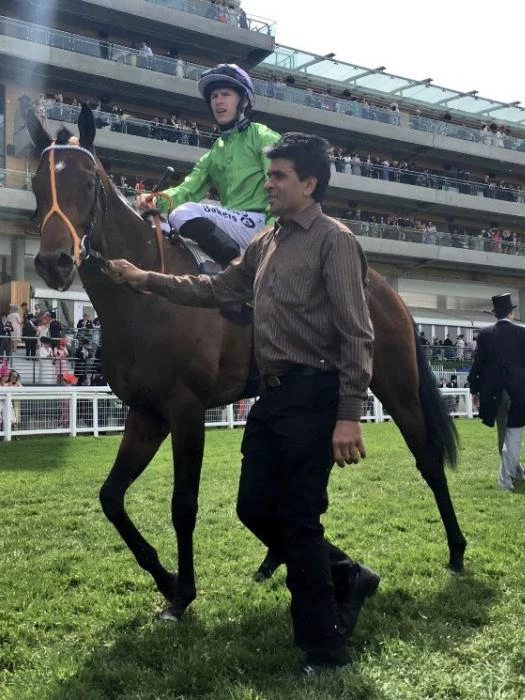 ascot winner
