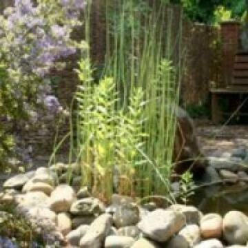 astontirroldgarden