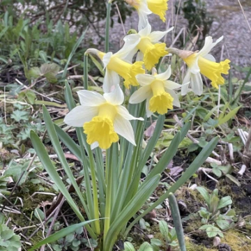 b808a32cf82d45978f50936ed2caa623