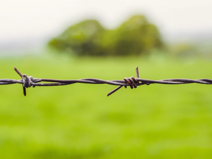 barbed wire