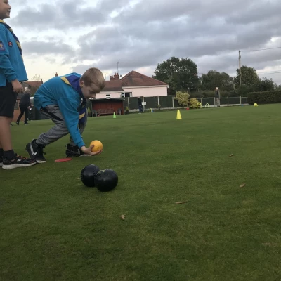 beavers 6