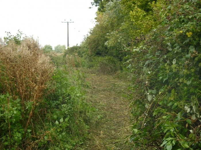 behind tarvin mill 1