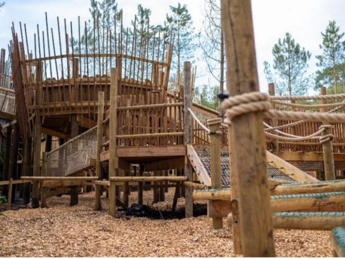 bewilderwood october half term 21