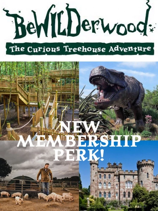 bewilderwood perk  logo 2024