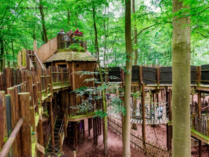 bewilderwood