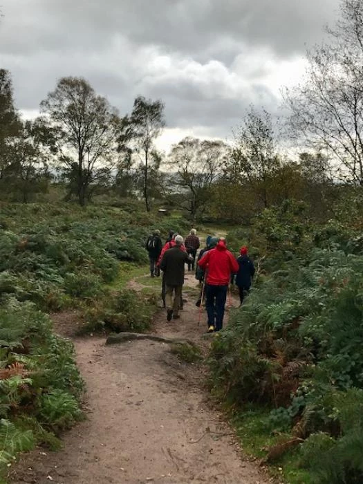 bickerton hill 5