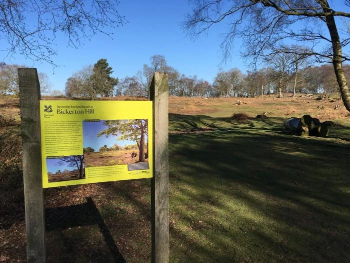 bickerton hill