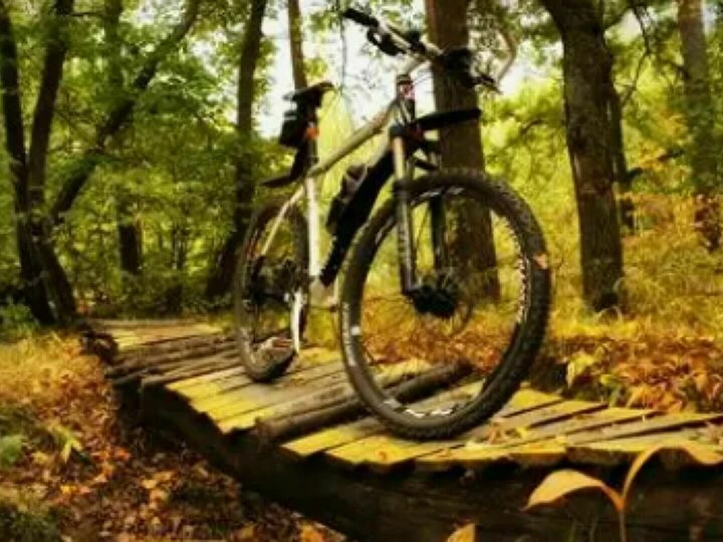 bike track