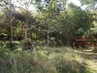 bird hide woodland walk