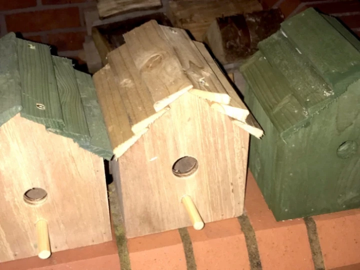 birdboximage0090