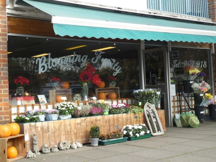 blooming fruity shop front