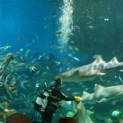 blue planet 4