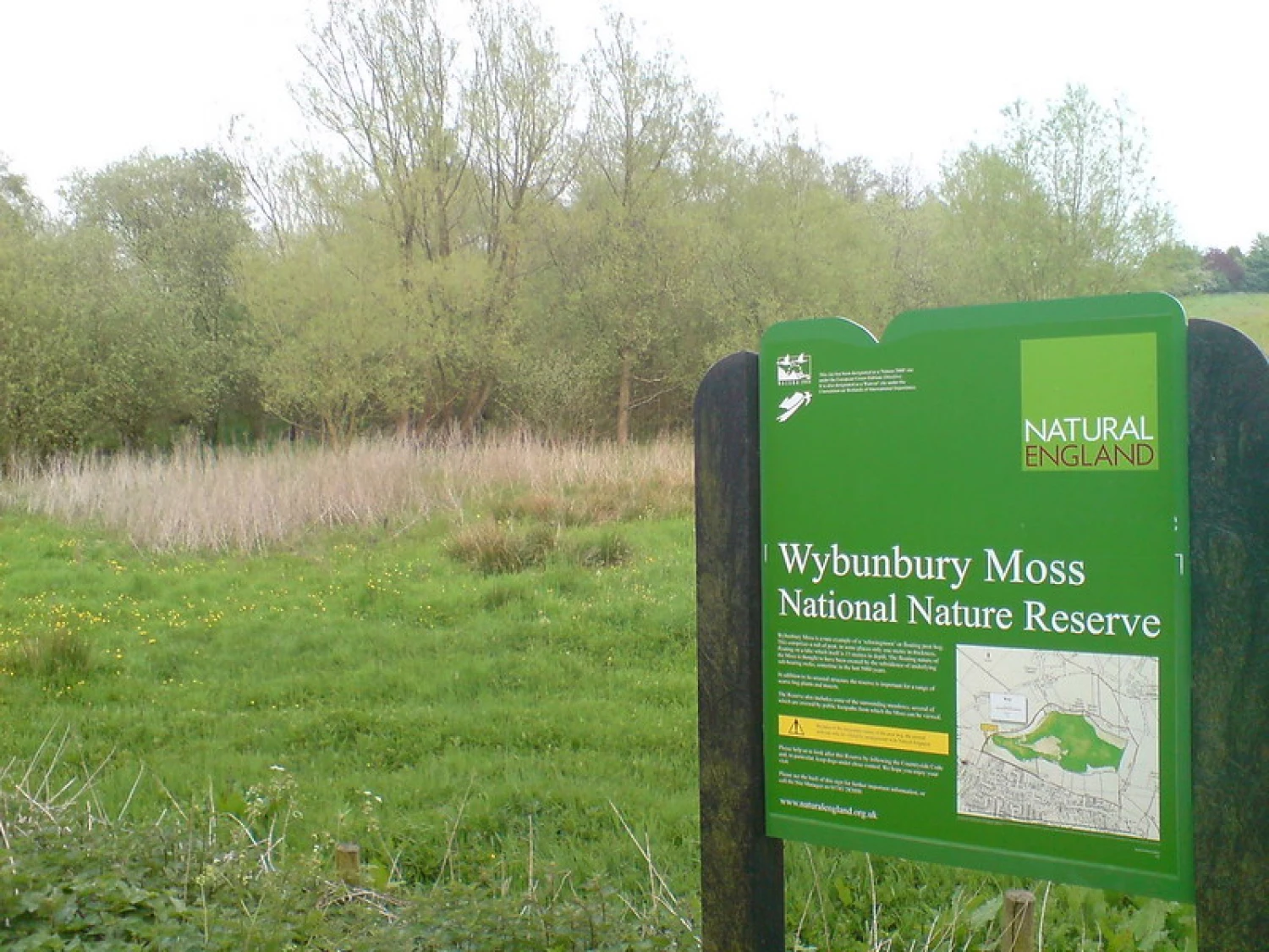 Wybunbury Moss