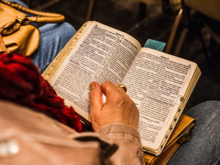 Person Holding Opened Book