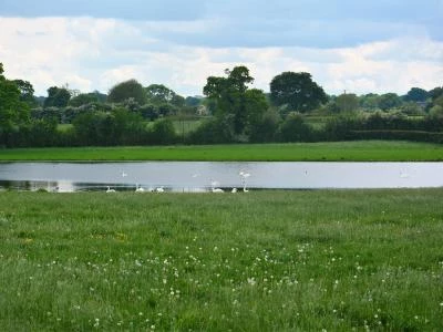 Popular Bird spotting lake