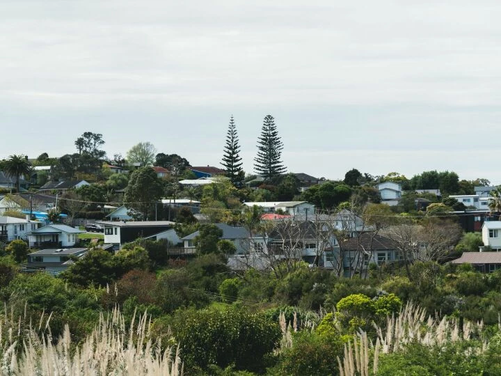 A peaceful suburban scene capturing the essence of Auckland's residential area with lush greenery and houses.
