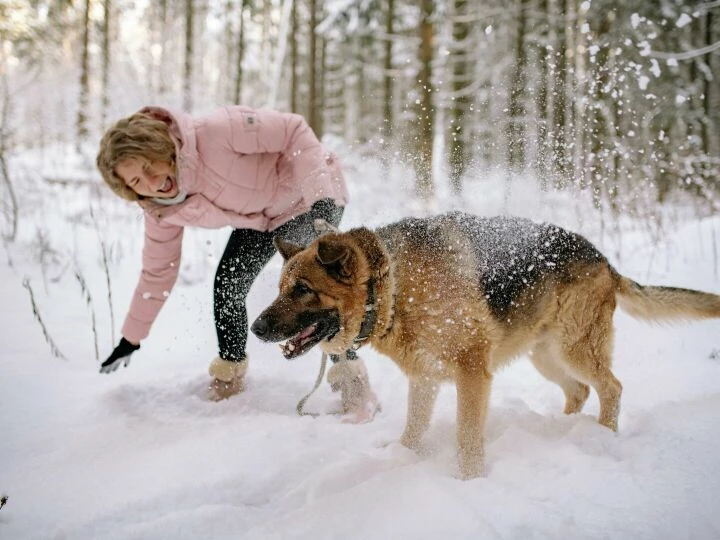 Woman Playing with a Dog on Snow Covered Ground