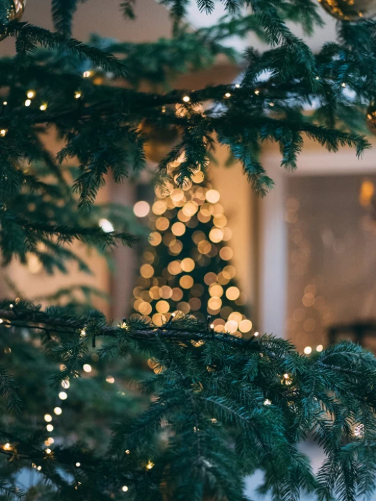 Xmas 2