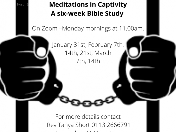 Meditations in Captivity A six-week Bible Study
