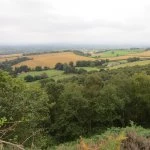 Bickerton Hill Views