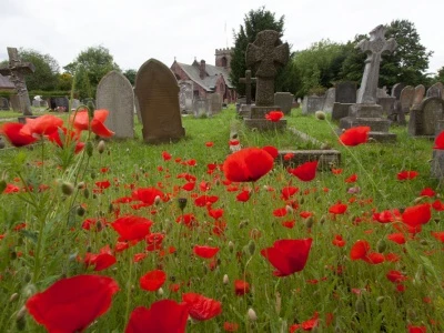 Tattenhall-Churchyard-commemorative-poppies