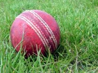 cricket, cricket ball, sport