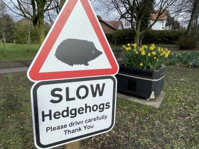 Hedgehog sign