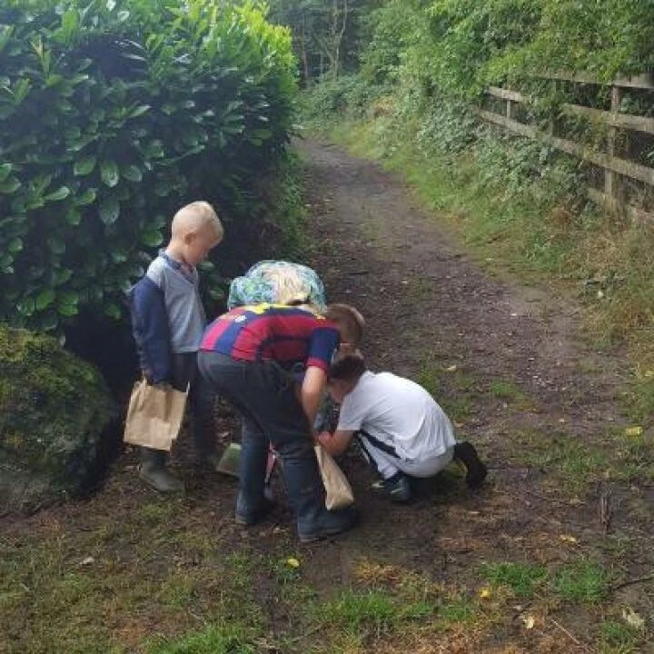 Last clues