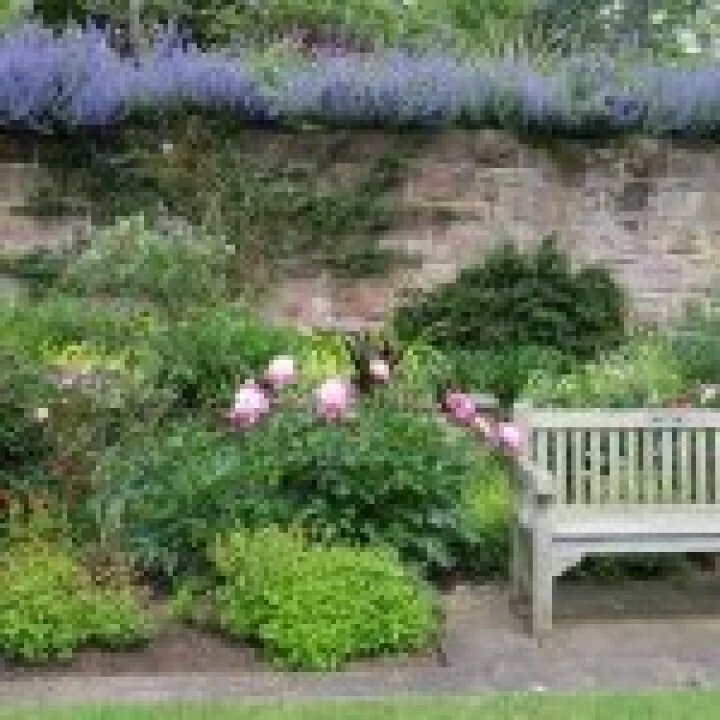 Ness Gardens jpg43