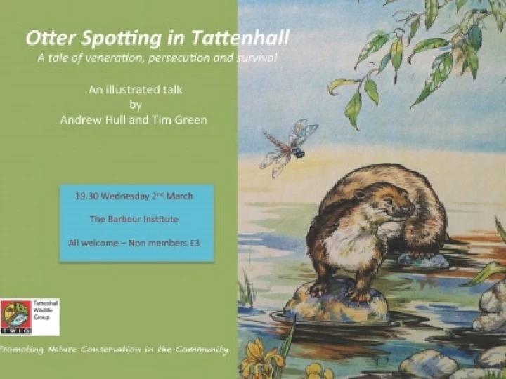 OtterSpotting