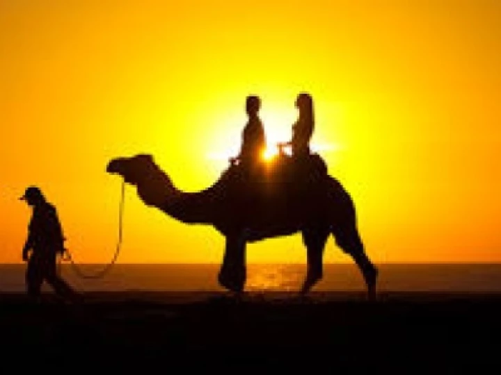 camel ride