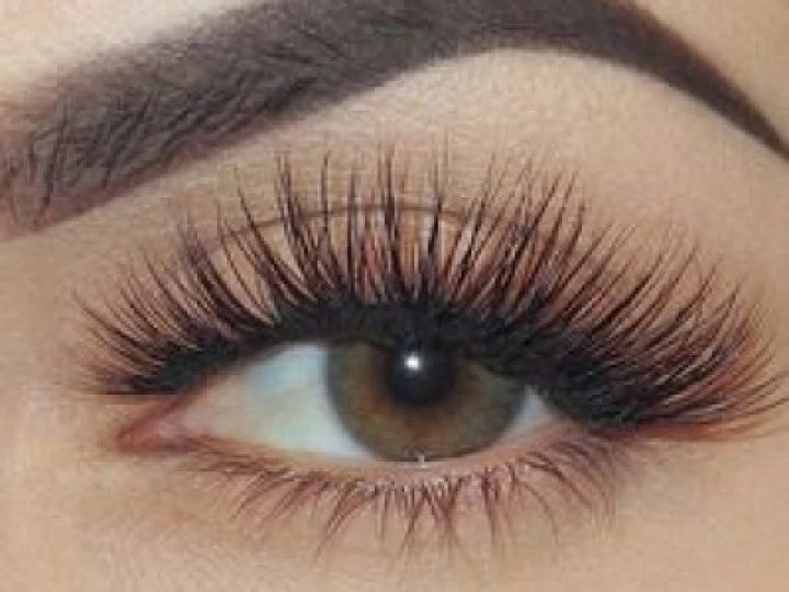eyebrows and lashes