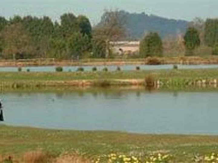 Cheshire-Fishing