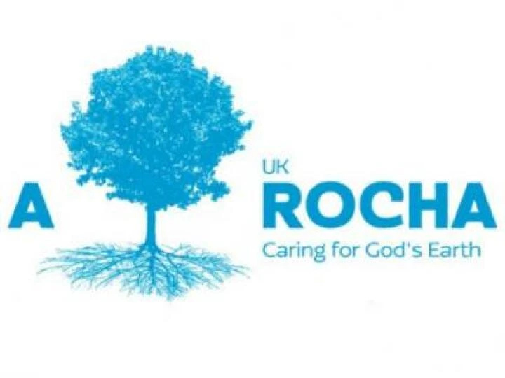 Arocha